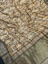 Royal Pure Chinya Silk Saree Graceful Shine